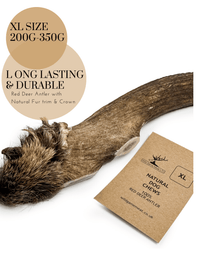 New ! XL Red Deer Antler with Natural Fur Trim & Crown - Wild Game Meat Ltd