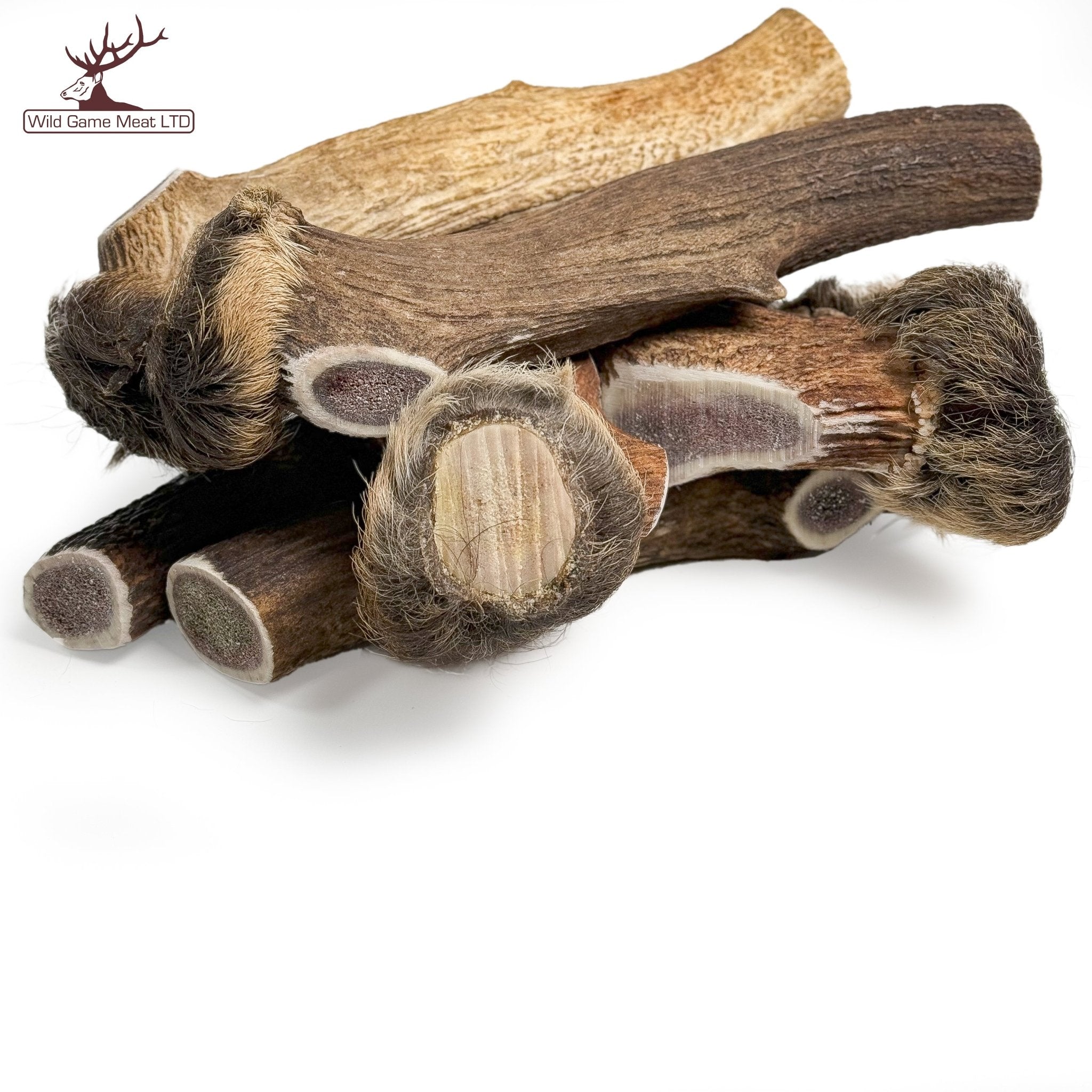 New ! XL Red Deer Antler with Natural Fur Trim & Crown - Wild Game Meat Ltd